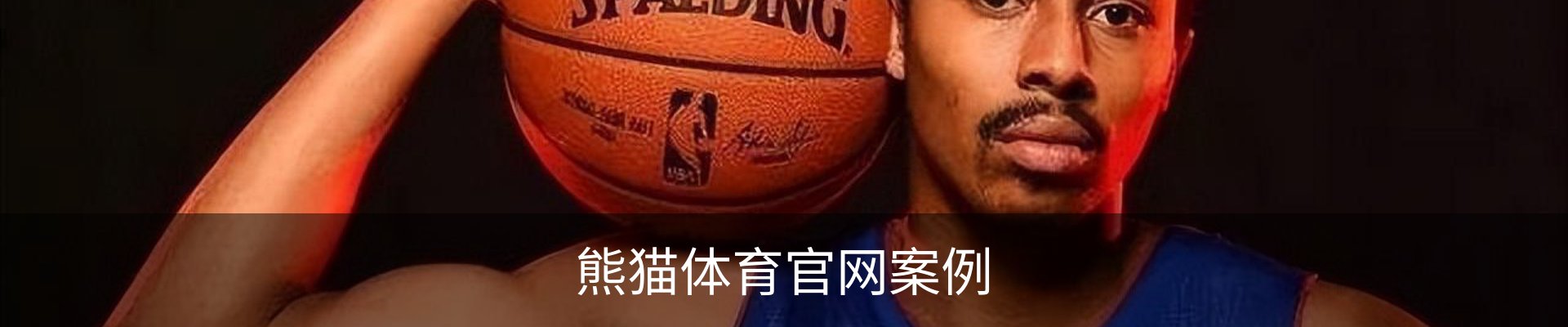 熊猫体育官网案例